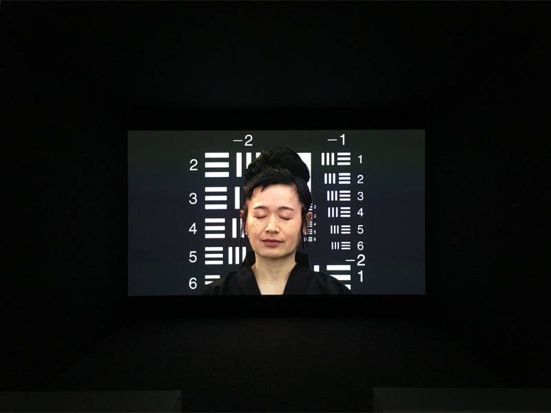 Hito Steyerl