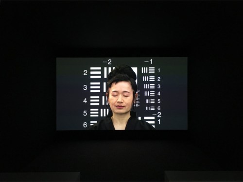Hito Steyerl